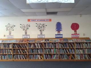 Wall of half-level bookshelves filled with books. Above the bookshelves are painted pictures of different types of tress.